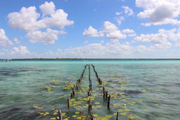 The Lagoon of Seven Colors in Bacalar