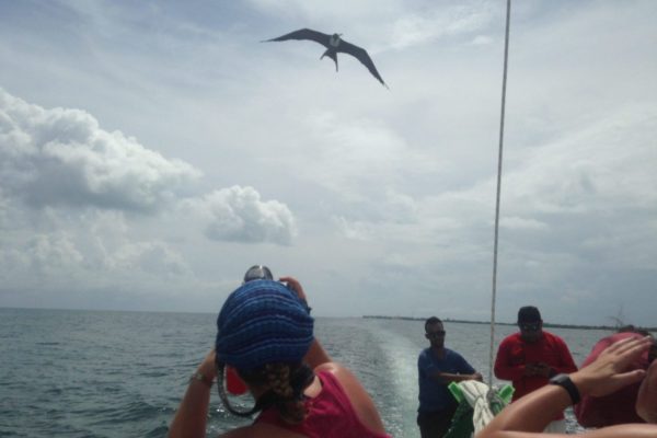 Snorkell Tour in Caye Caulker