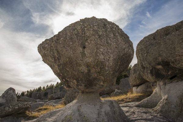 Valley of Mushrooms, Creel