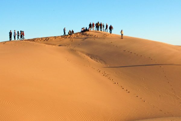 Dunes, Pinacate Desert