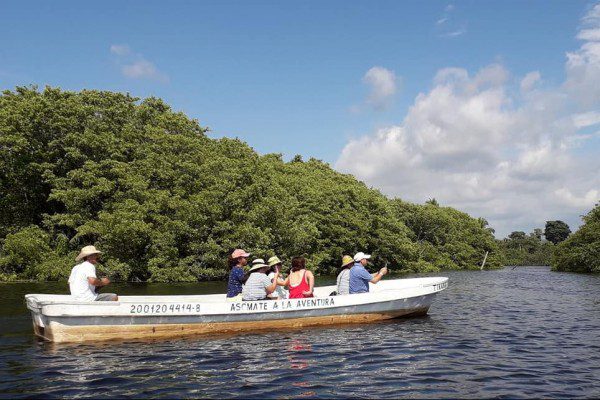 Manglar Tour at La Ventanilla