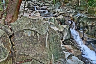 Altavista petroglyphs detail