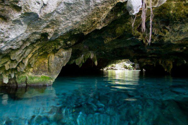 The Gran Cenote near Tulum