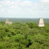 Star Wars view at Tikal