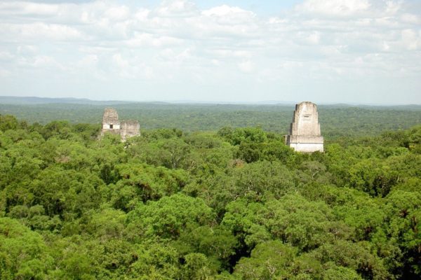 Star Wars view at Tikal