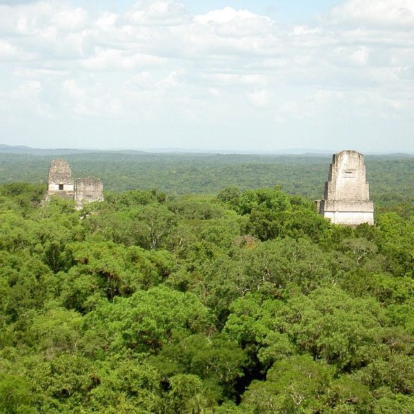 Star Wars view at Tikal