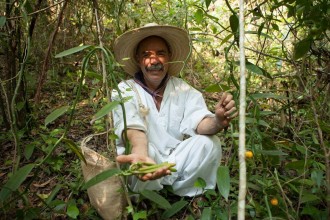 Vanilla Tour at Papantla