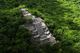 Calakmul pyramid at Campeche