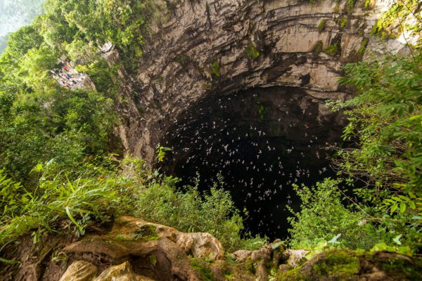 Cave of swallows near Aquismón