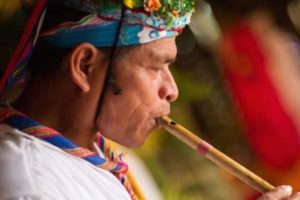 Musician at Cumbre Tajín Festival