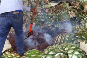 Mezcal Factory