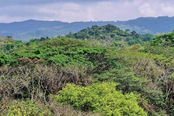 Bonampak Site