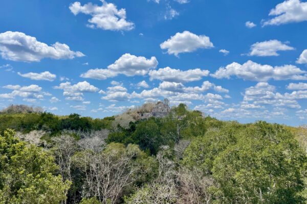 Calakmul Archeological Site