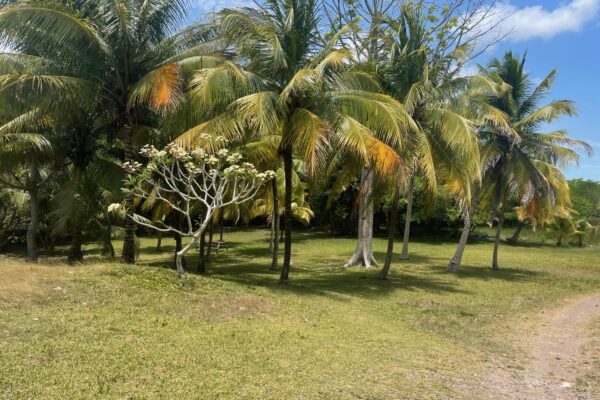 Campsite at Xul Há