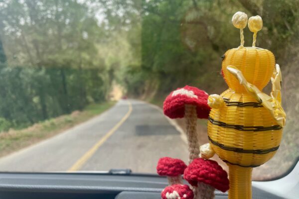 En Route, La Abejita