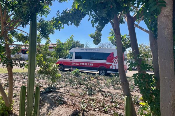 Mezcal Factory at Oaxaca