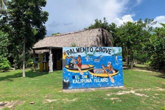 Belize, Palmento Grove