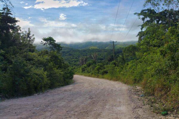 Dirt road entering Belize's Jungle