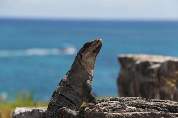 Quintana Roo, Tulum