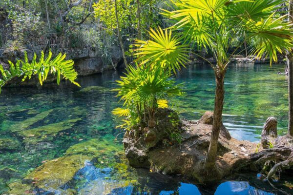 Quintaa Roo, Cenote Dos Ojos