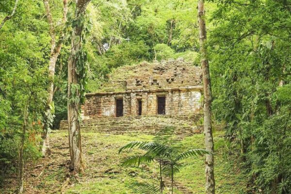Chiapas Yaxchilán
