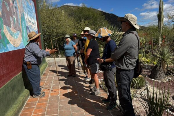 Armando - Community Guide, Zapotitlán