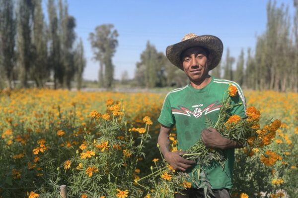 Florentino - Farmer, Xochimilco, Mexico City