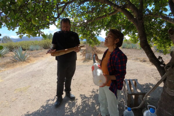 Reina - Maestra Pulquera - Matatlán