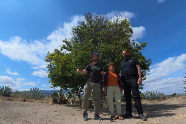 Oaxaca Central Matatlán AyV La Casa del Pulque