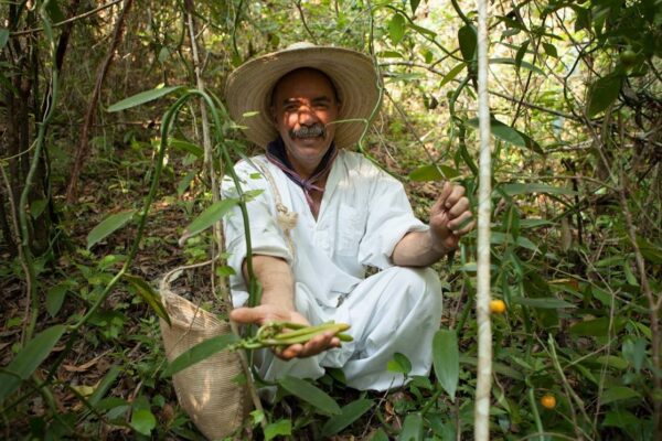 Veracruz Papantla Xanath