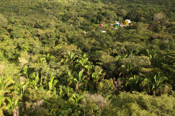 Belize Lower Dover